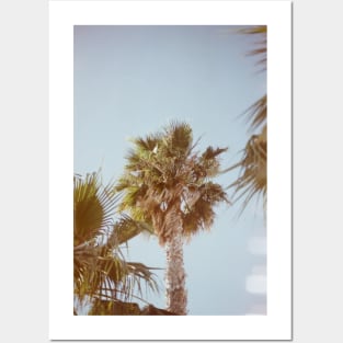 California Palm Posters and Art